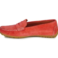 Pellet - CADORNA Velourscorail