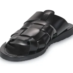 Pellet - DAVID VEAULISSENOIR New