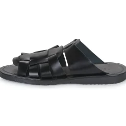 Pellet - DAVID VEAULISSENOIR New