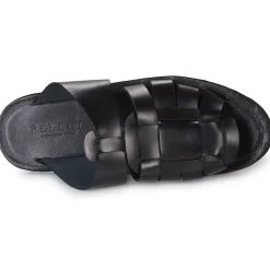 Pellet - DAVID VEAULISSENOIR New