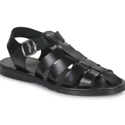 Clearance Pellet - DENIS VEAULISSENOIR