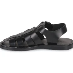 Clearance Pellet - DENIS VEAULISSENOIR