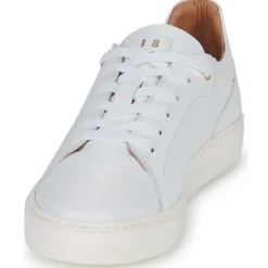 Discount Pellet - JOSEPH VEAUBLANC