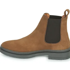 Pellet - JUNE VELOURSDATE Clearance