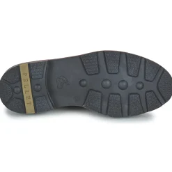 Best Pellet - MACHA Vernisvino