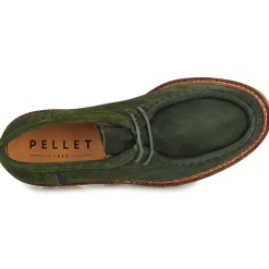 Online Pellet - MACHA Veloursoiledolive