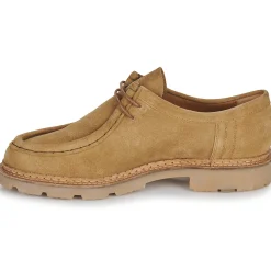 Online Pellet - MACHO