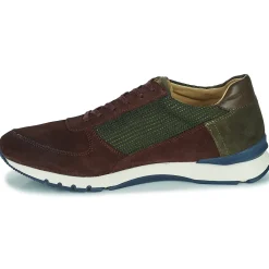 Pellet - MALO MIXBORDEAUX Best