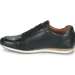 Best Pellet - MARC VEAUNOIR