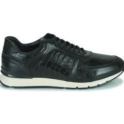 Outlet Pellet - MAXIM VEAUNOIR