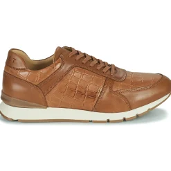 Pellet - MAXIM VEAUMARRON Online