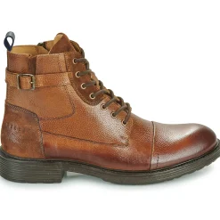 New Pellet - NATHAN VEAUGRAINECOGNAC