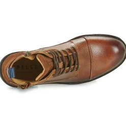 New Pellet - NATHAN VEAUGRAINECOGNAC