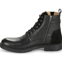 New Pellet - NATHAN VEAUGRAINENOIR