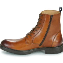 Pellet - NELSON VEAULISSEBROSSECOGNAC Clearance