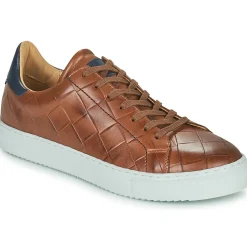 Hot Pellet - ORSON VEAUMARRON