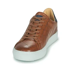 Hot Pellet - ORSON VEAUMARRON