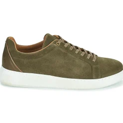 Pellet - OSCAR VELOURSKAKI Hot