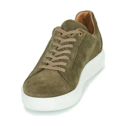 Pellet - OSCAR VELOURSKAKI Hot