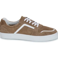 Sale Pellet - SANDRY