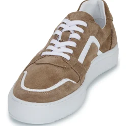 Sale Pellet - SANDRY