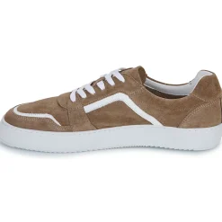 Sale Pellet - SANDRY