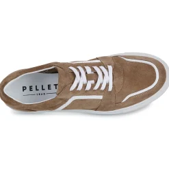 Sale Pellet - SANDRY