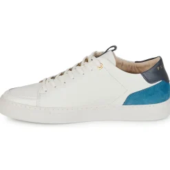 Discount Pellet - SIMON