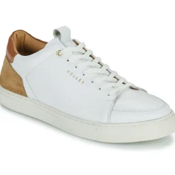 Pellet - SIMON Online