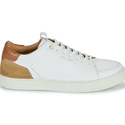 Pellet - SIMON Online