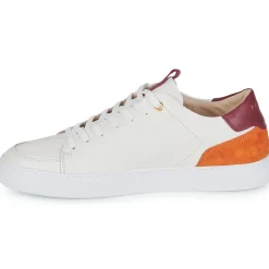 Discount Pellet - SIMON