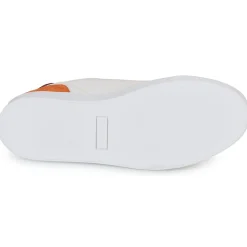 Discount Pellet - SIMON