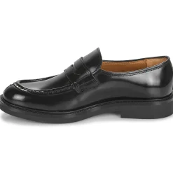 Pellet - TIAGO VEAUGLACENOIR New