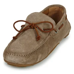 Discount Pellet - TOM CROUTEVELOURSTAUPE