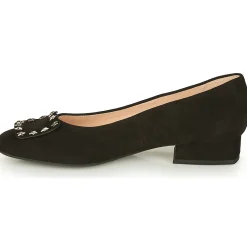 Peter Kaiser - ZWONIZ