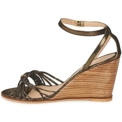 Petite Mendigote - COLOMBE