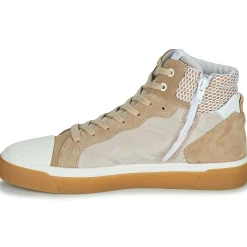 Philippe Morvan - HOXY