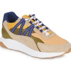 Best Piola - ICA Multicolore