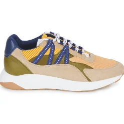 Best Piola - ICA Multicolore