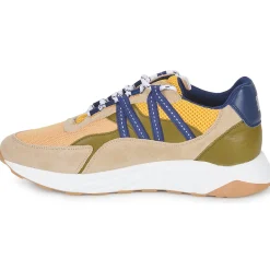 Best Piola - ICA Multicolore