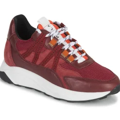 Best Piola - ICA Bordeaux