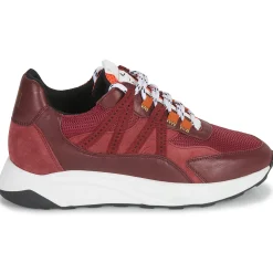 Best Piola - ICA Bordeaux