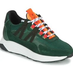 Discount Piola - ICA Vertfoncé