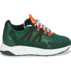 Discount Piola - ICA Vertfoncé