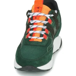 Discount Piola - ICA Vertfoncé