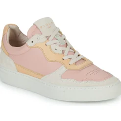 Sale Piola - INTI Multicolore