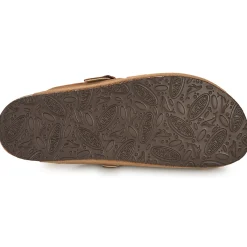 Online Plakton - BLOG AFELPADO Marron