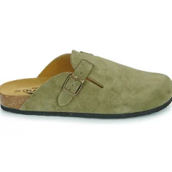 Plakton - BLOG AFELPADO Kaki Hot