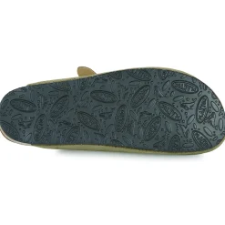 Plakton - BLOG AFELPADO Kaki Hot