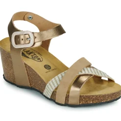 New Plakton - BRIDGE Doré